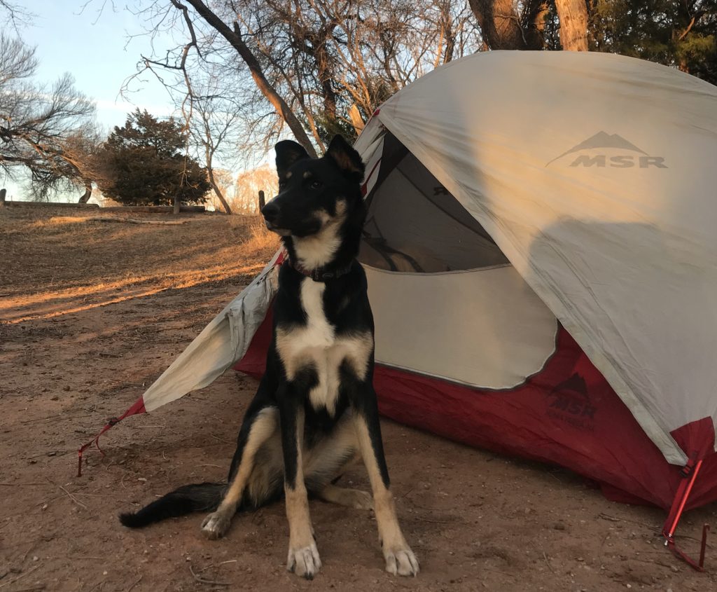 Pet-friendly adventure: camping at Boiling Springs State Park in Oklahoma.