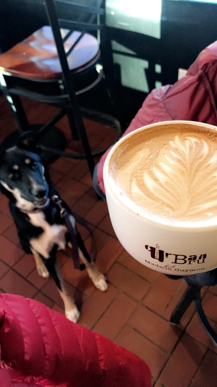 Coffee break at Urban Bru Cafe in Guymon, OK.