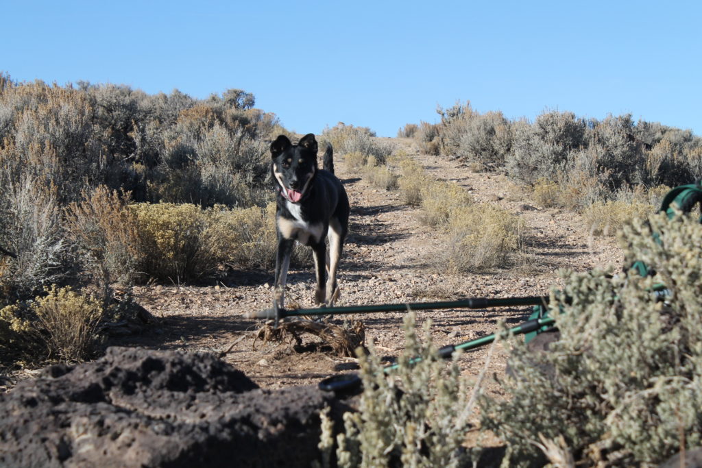 Hiking on the West Rim Trail along the Rio Grande Gorge near Taos, New Mexico.