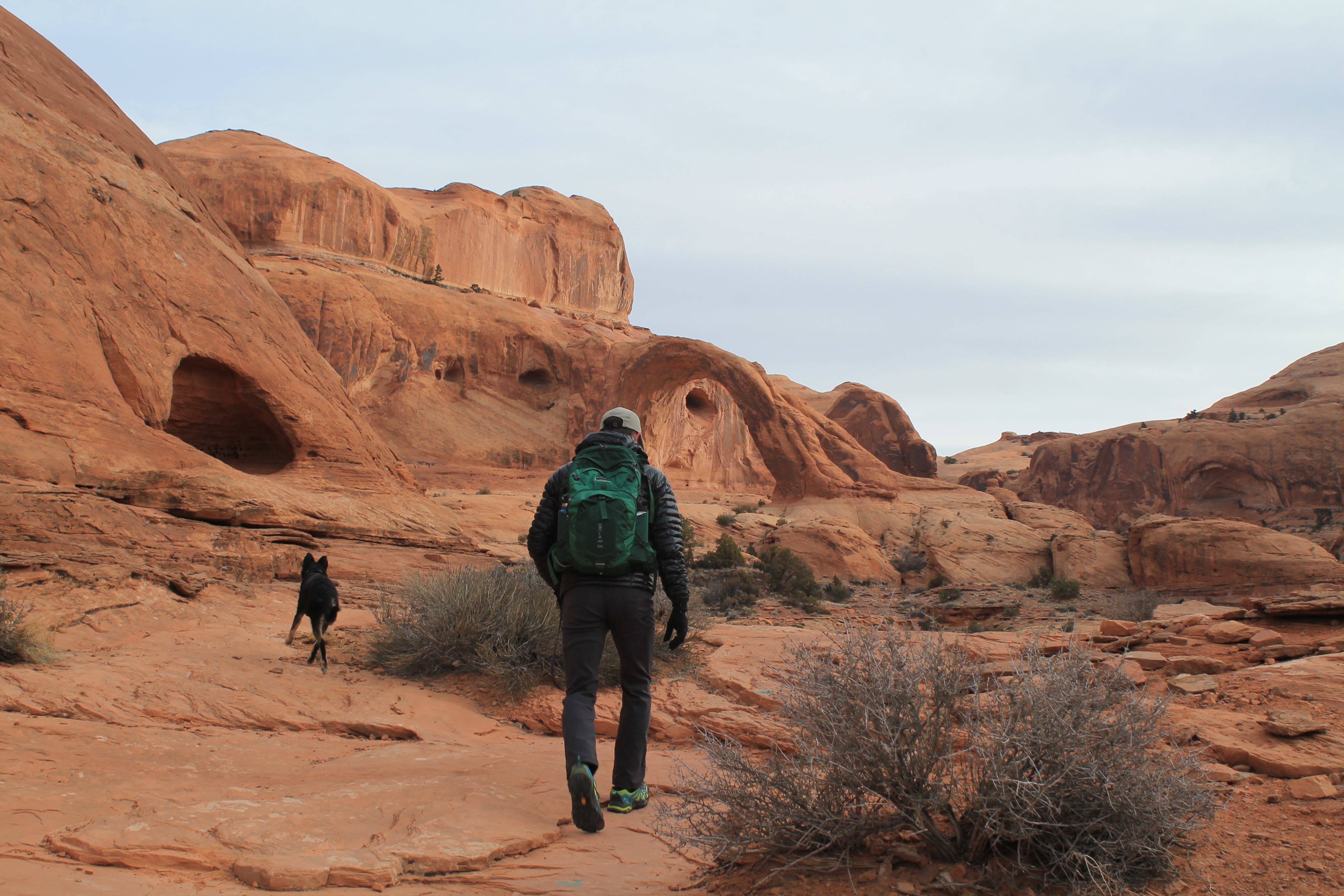 Kona leads the way as we approach Corona Arch.