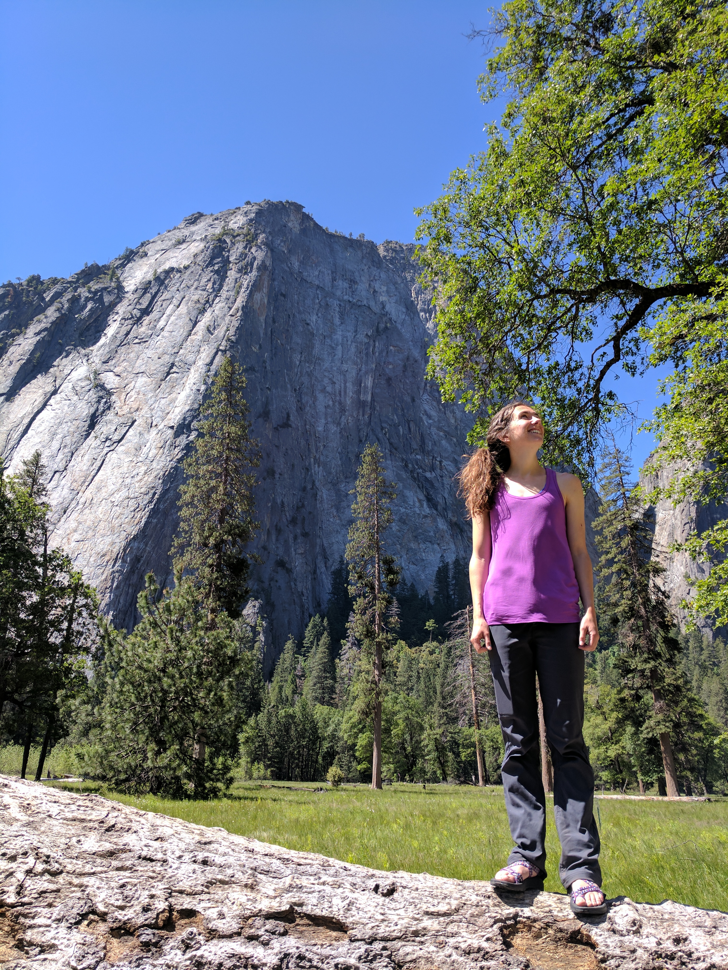 Gazing at El Capitan in Yosemite National Park just 5 days before Alex Honnold made his historic ascent.