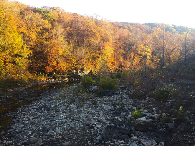 A fairly dry creek bed along the Ozark Highlands Trail in Arkansas.