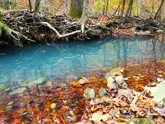 A beautiful spring along the Ozark Highlands Trail in Arkansas.