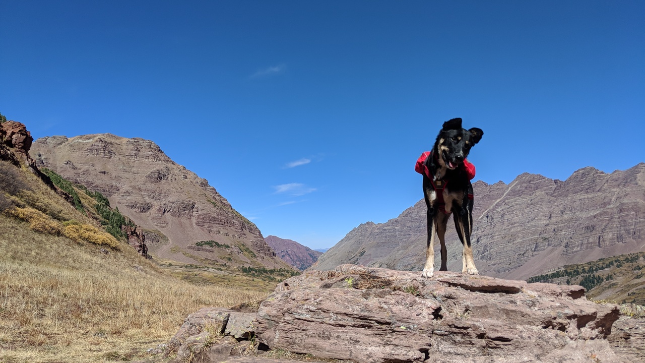 Kona poses for a pic as we approach West Maroon Pass on Four Pass Loop.
