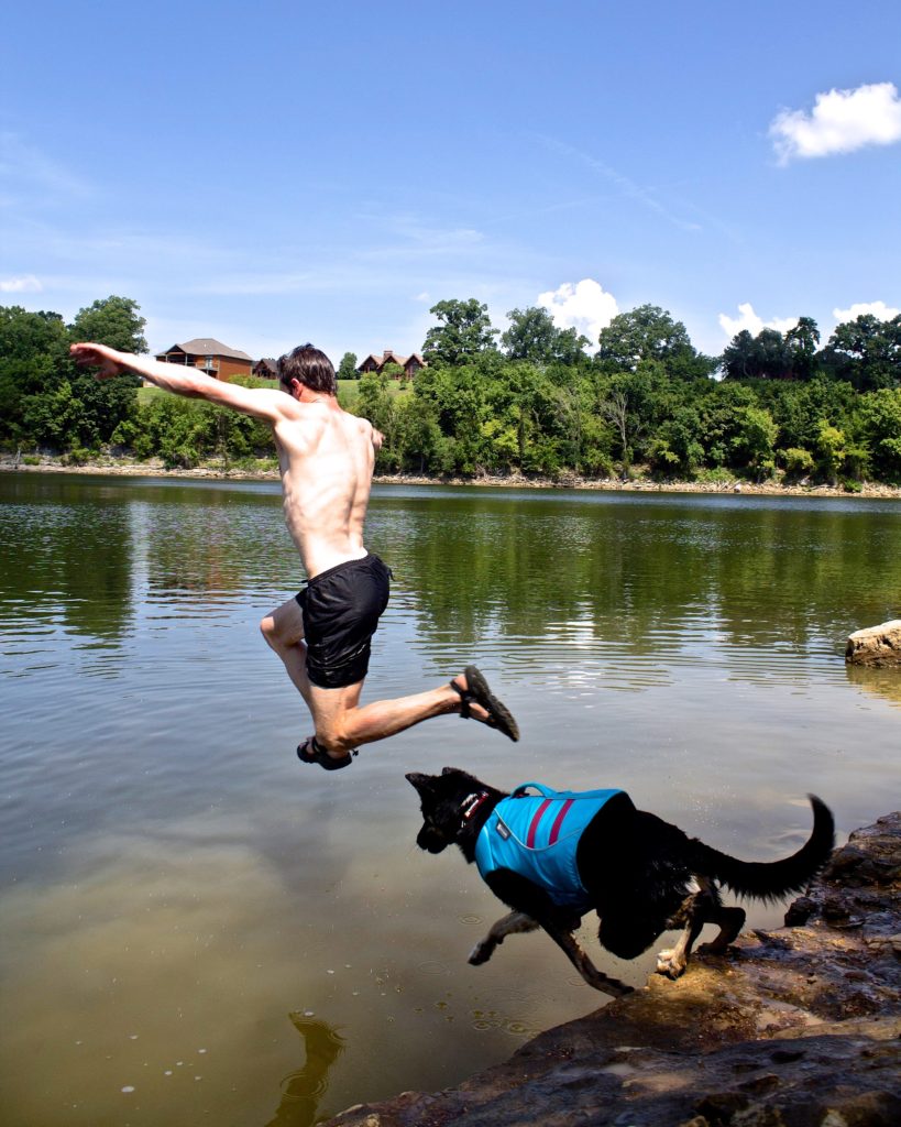 Pet-friendly adventure: swimming at Table Rock Lake in Eureka Springs, Arkansas.