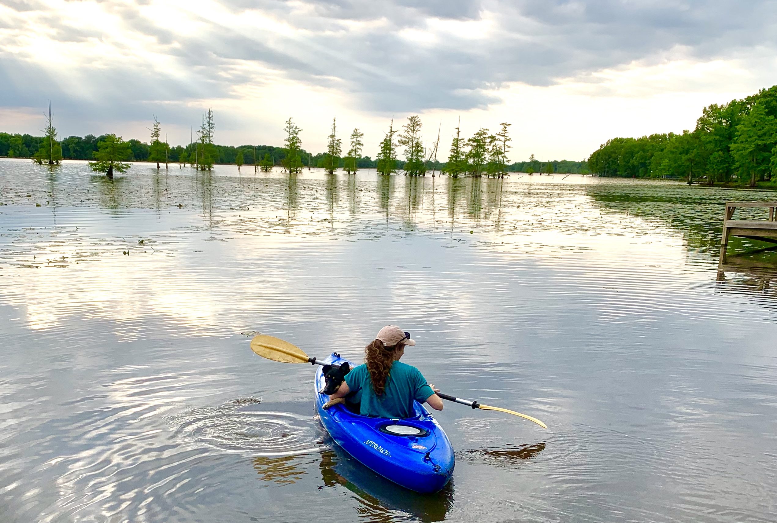 Pet-friendly adventure: kayaking with dog.
