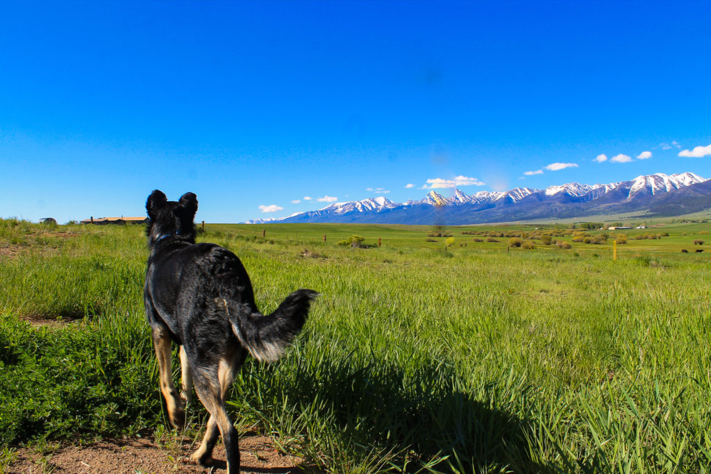 Mountain views in Colorado.