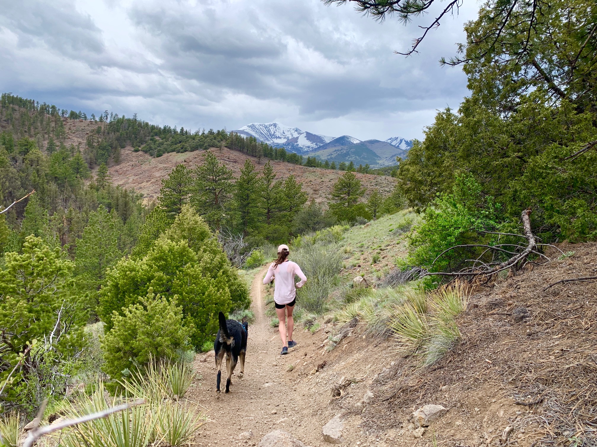 Running the Rainbow Trail in Colorado.