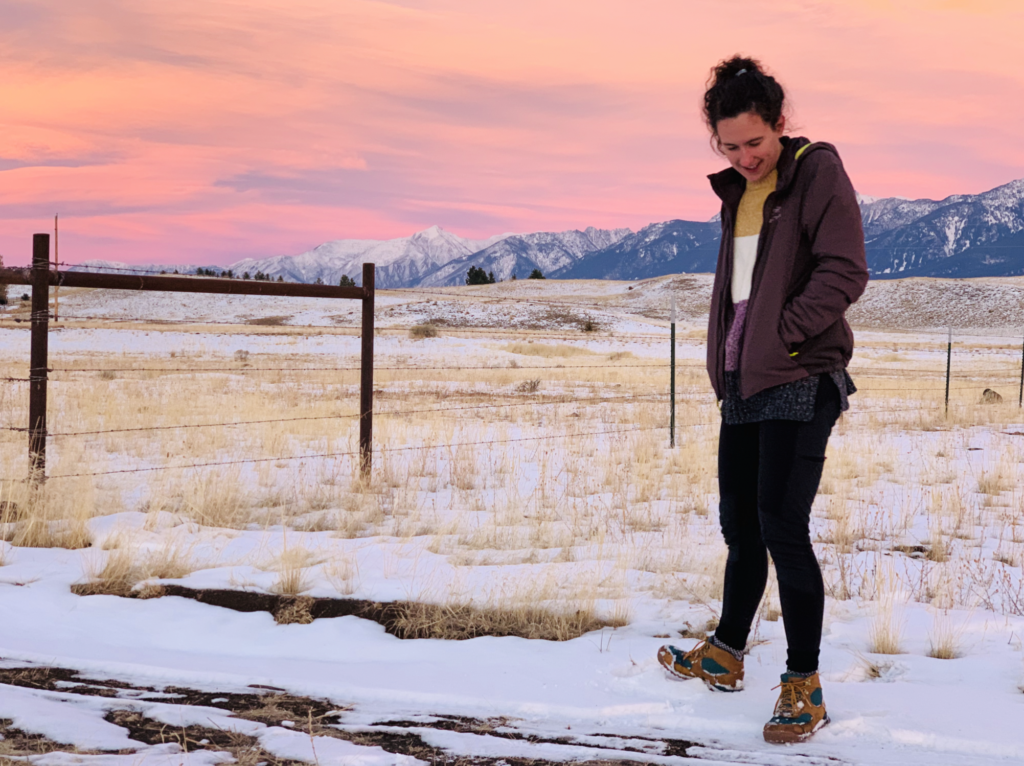 Montana skyline